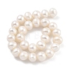 Natural Cultured Freshwater Pearl Beads Strands PEAR-C003-18E-3