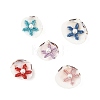 Glass Seed Baeded & Natural Shell Pendants PALLOY-MZ01370-1