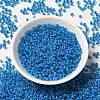 6/0 Transparent Glass Seed Beads SEED-F003-03A-02-2