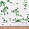 MIYUKI Delica Beads X-SEED-J020-DB0046-4