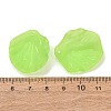 Frosted Acrylic Pendants AC-CBA1E6C-01A-3