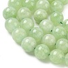 Dyed Natural Malaysia Jade Beads Strands G-G021-01D-04-3