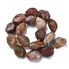 Natural Green Lodolite Quartz Beads Strands G-L650-N01-01-3