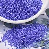 MIYUKI Delica Beads X-SEED-J020-DB2388-1