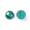 Natural Malachite Cabochons G-E557-06C-1