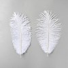 Ostrich Feather Craft for Wedding Party Centerpieces Home Decoration DIY-WH0899-791C-1