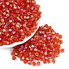 FGB Transparent Colours Glass Seed Beads SEED-Q040-07A-B04-1