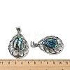 Natural Paua Shell/Abalone Shell Pendants FIND-Z032-01A-3