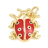 Brass Micro Pave Clear Cubic Zirconia Pendants KK-F938-22A-G03-1
