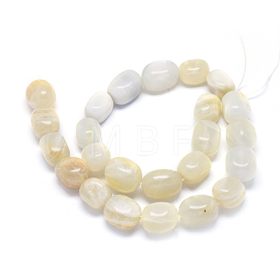 Natural White Moonstone Beads Strands G-O173-085-1