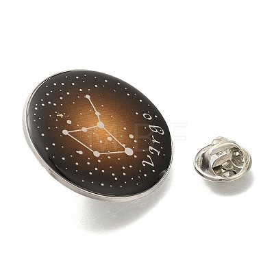 Twelve Constellation Creative Alloy Badges Constellation Brooches JEWB-S033-01P-F-1