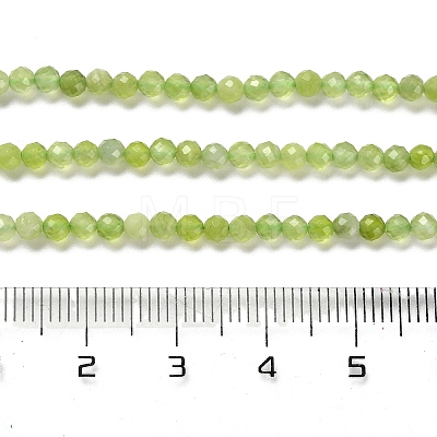 Natural Xiuyan Jade Beads Strands G-Z074-A04-02-1