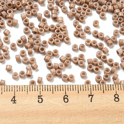 Baking Paint Glass Seed Beads SEED-S042-05A-25-1