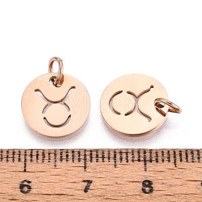 304 Stainless Steel Charms STAS-Q201-T445-2R-1
