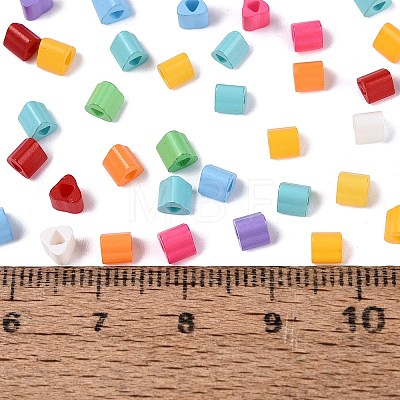 FGB Baking Paint Glass Seed Beads SEED-Q040-09A-M02-1
