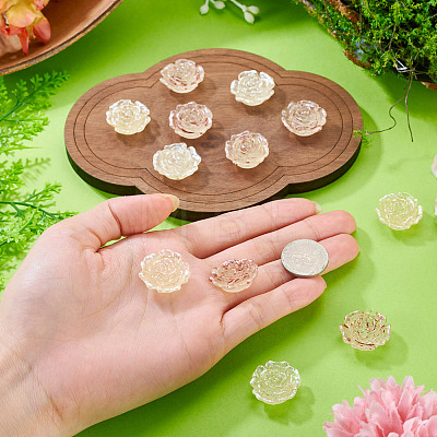 12Pcs 2 Colors Transaprent Resin Enamel Cabochons CRES-TA0001-91-1