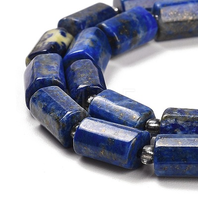 Natural Lapis Lazuli Beads Strands G-G068-A13-01-1