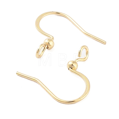 316 Surgical Stainless Steel Earring Hooks STAS-K274-10G-1