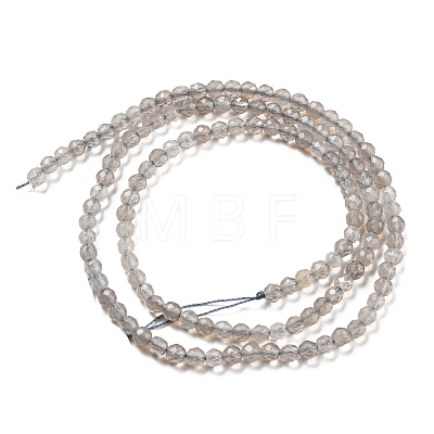 Natural Grey Agate Beads Strands G-Q004-B01-01-1