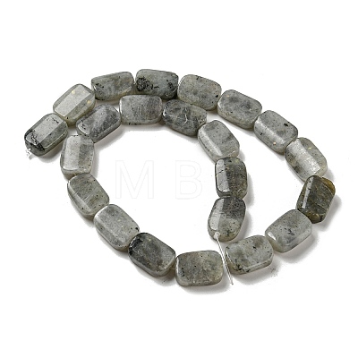 Natural Labradorite Beads Strands G-M420-M02-02-1