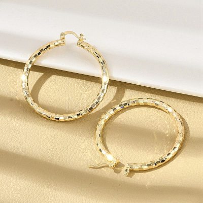 Brass Hoop Earrings EJEW-B117-06E-G-1