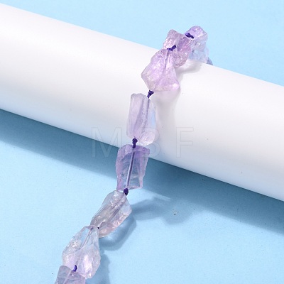 Rough Raw Natural Amethyst Beads Strands G-G010-09-1