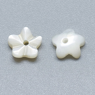 Natural White Shell Beads SSHEL-S260-005-1