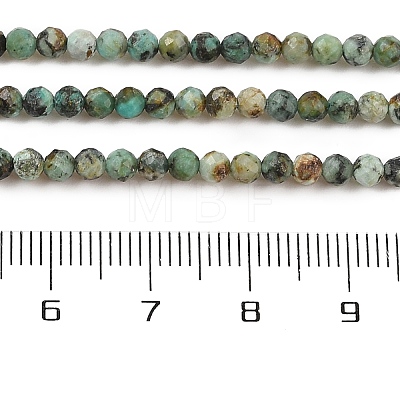 Natural African Turquoise(Jasper) Beads Strands X-G-P472-01-1