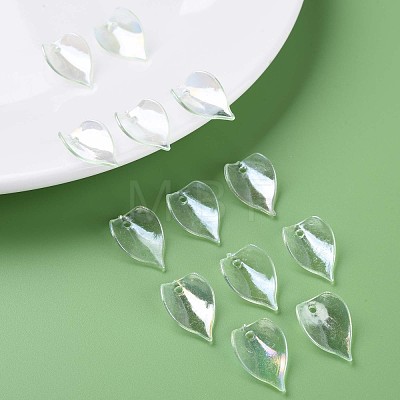 Transparent Acrylic Beads MACR-S373-103-C04-1