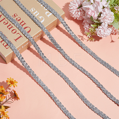 Braided Polyester Lace Ribbons SRIB-DR0001-03B-1