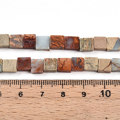 Natural Shoushan Stone Beads Strands G-N346-05A-04-1