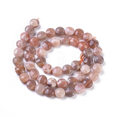 Natural Multi-Moonstone Beads Strands G-I249-A10-02-1