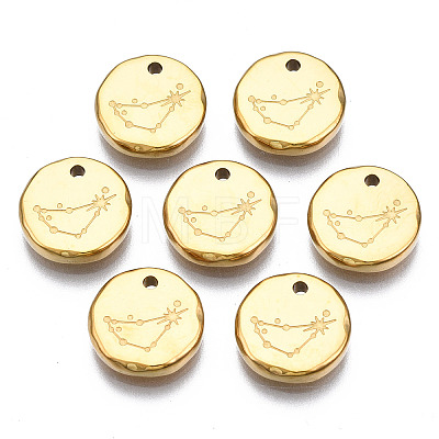 316 Surgical Stainless Steel Charms STAS-S116-418C-G-1