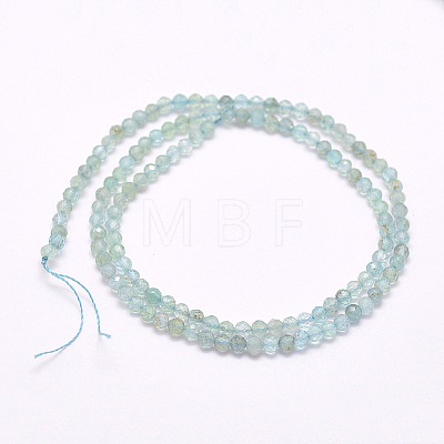 Natural Apatite Beads Strands G-I156-05-A-1