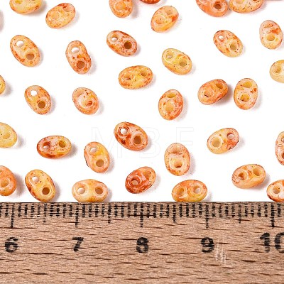 Picasso Glass Seed Beads GL-N001-02G-1