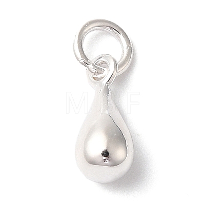 925 Sterling Silver Charms STER-M120-01C-S-1