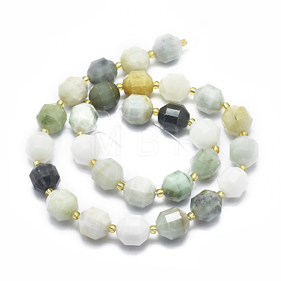 Natural Myanmar Jade/Burmese Jade Beads Strands G-K303-A16-12mm-1