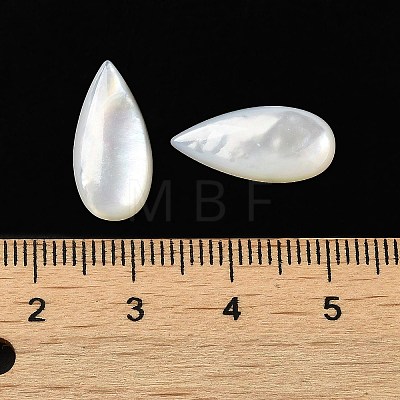 Natural White Shell Cabochons SSHEL-M022-04-1