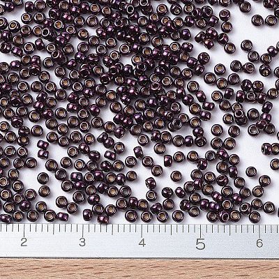 MIYUKI Round Rocailles Beads X-SEED-G007-RR0460-1