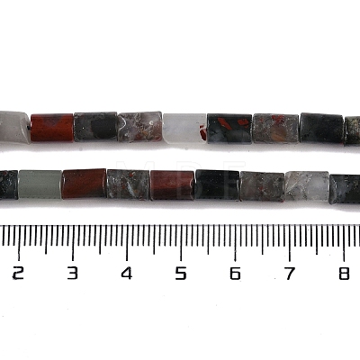 Natural African Bloodstone Beads Strands G-C128-A15-01-1