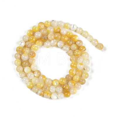 Natural Trochus Shell Beads Strands BSHE-H109-12B-1