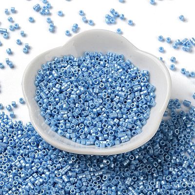 Baking Paint Glass Seed Beads SEED-S042-15A-11-1