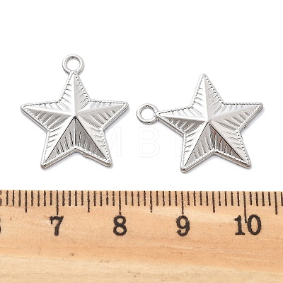 Anti-Tarnish 304 Stainless Steel Pendants STAS-R130-53P-1