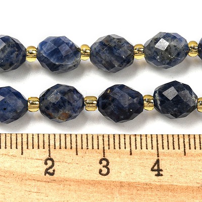 Natural Sodalite Beads Strands G-N342-57-1