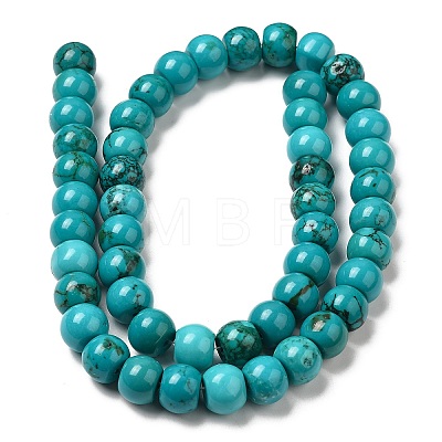 Natural Howlite Beads Strands G-B049-C01-06A-1