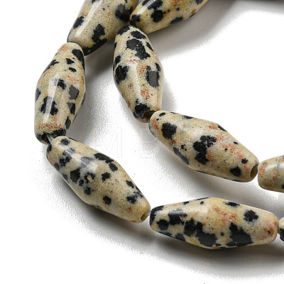 Natural Dalmatian Jasper Beads Strands G-A223-A08-01-1