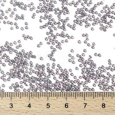 MIYUKI Round Rocailles Beads X-SEED-G009-RR0360-1