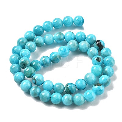 Natural Persian Jade Beads Strands G-A255-A02-02H-1