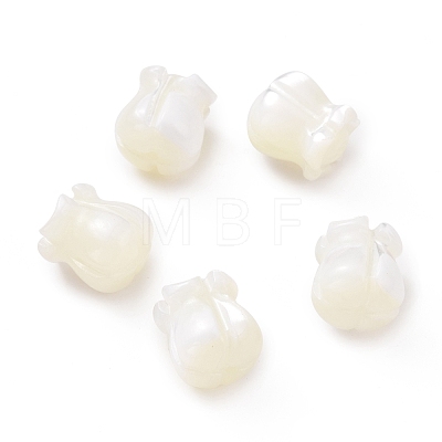 Natural Trochid Shell/Trochus Shell Beads SHEL-P014-01-1