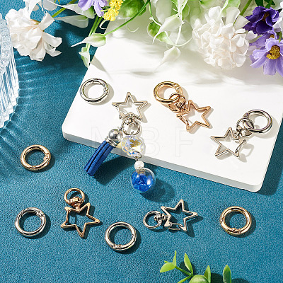 10Pcs 2 Colors Star Alloy Swivel Snap Hook Clasps & 10Pcs 2 Colors Alloy Spring Gate Rings Findings Kits FIND-TADJ0001-24-1